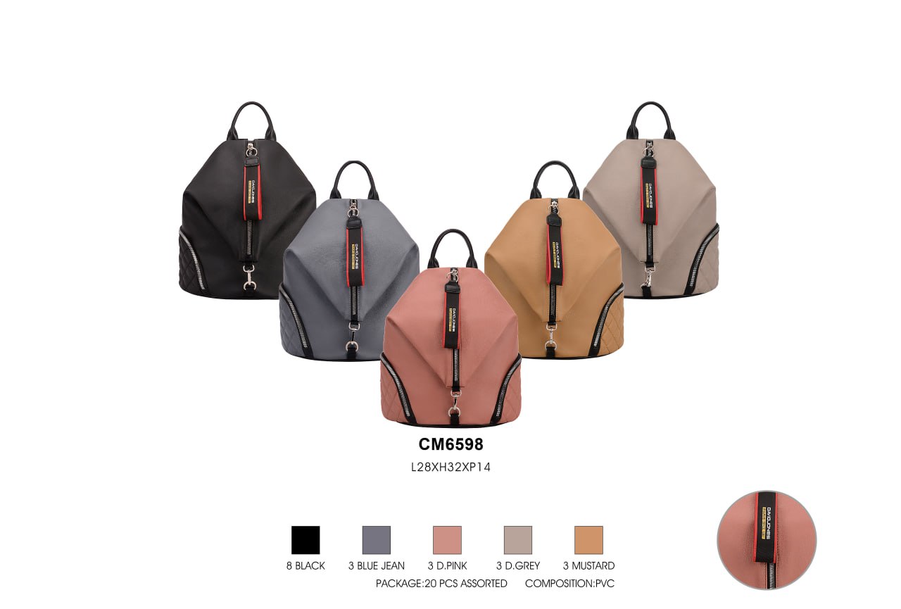 David Jones CM6598