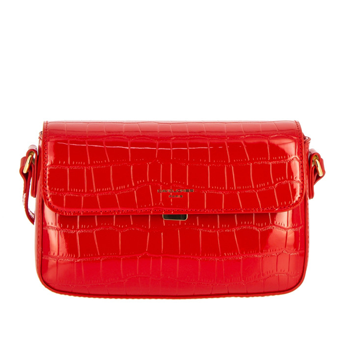 David Jones 6916-2