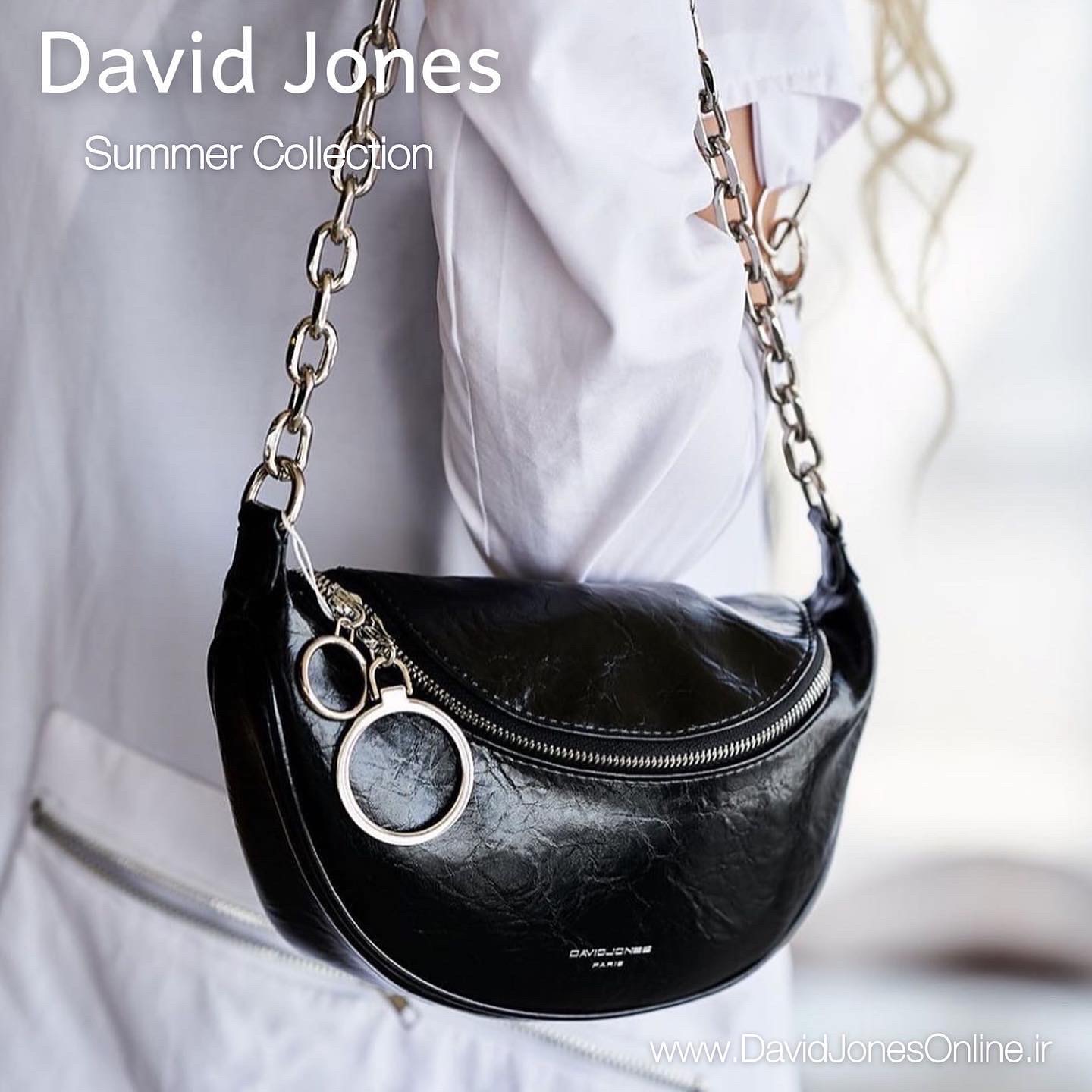 David Jones GN-21103